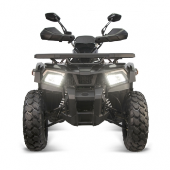 Preview: Nitro Motors Quablo Platin Line RS10 maxi Quad 200cc 10 Zoll Automatik + RG